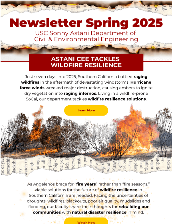 screenshot of newsletter
